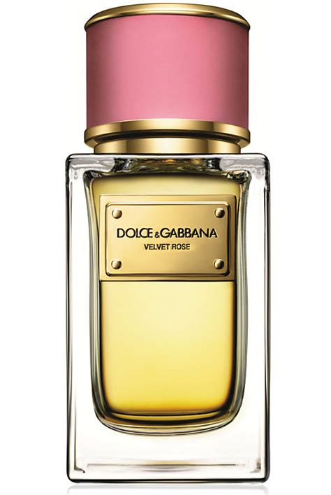 dolce gabbana uk perfume|best dolce and gabbana perfume for women.